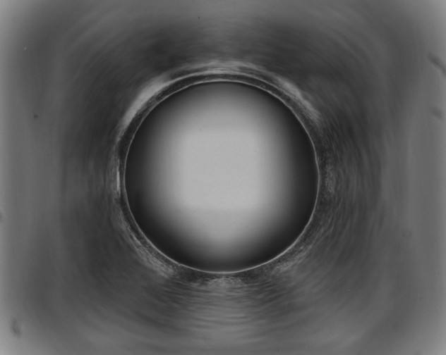 X0000097471368200802291300
