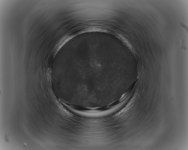 X0000097471369200802291300
