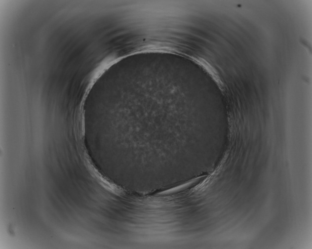 X0000097471371200802291300