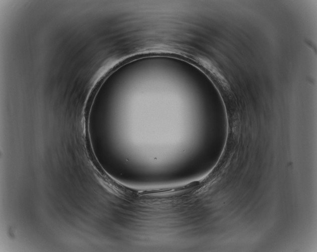 X0000097471372200802291300