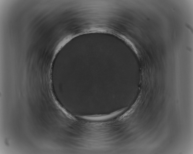 X0000097471373200802291300