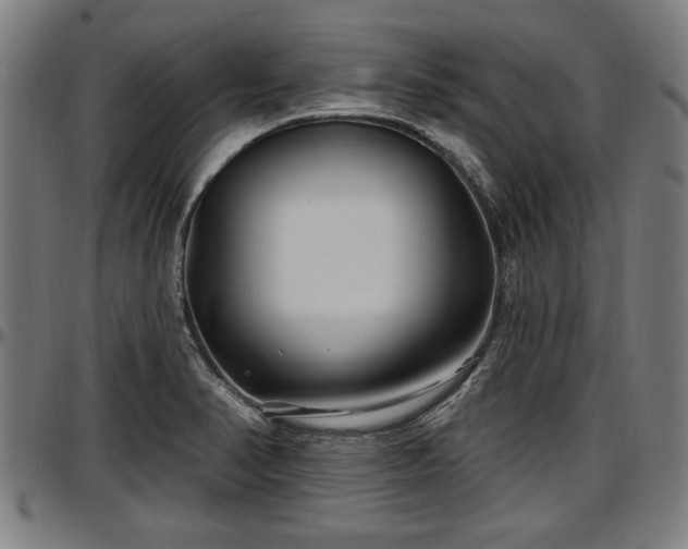 X0000097471374200802291300