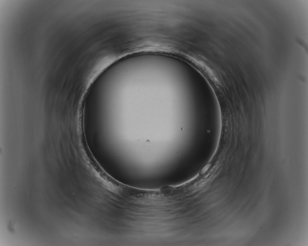 X0000097471375200802291300