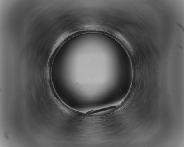 X0000097471376200802291300