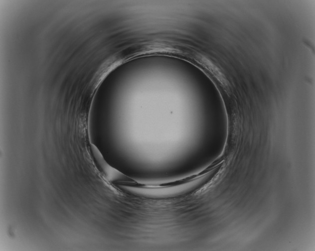 X0000097471377200802291300