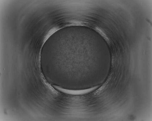 X0000097471378200802291300