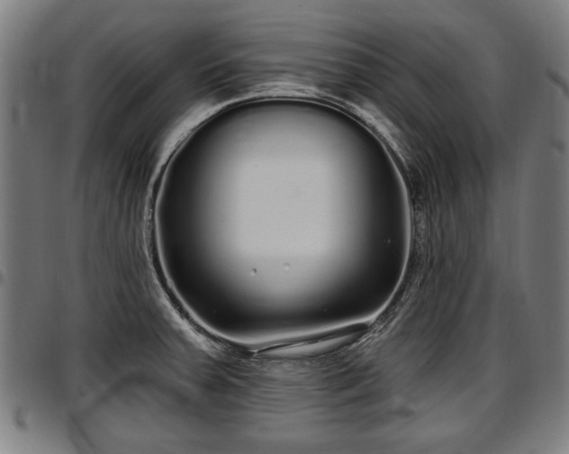 X0000097471379200802291300