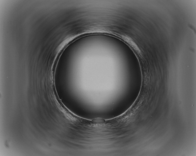 X0000097471380200802291300