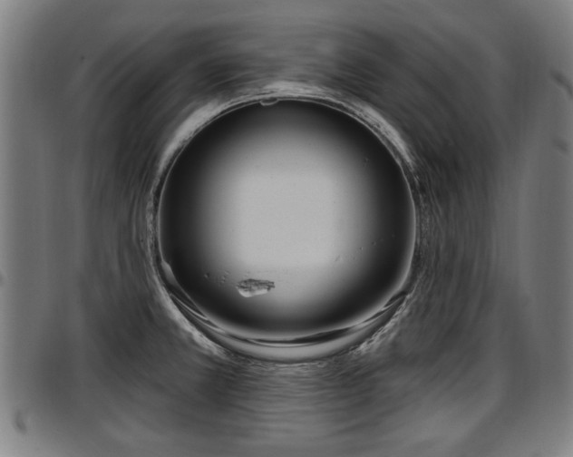 X0000097471381200802291300