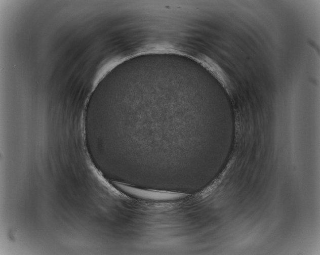 X0000097471382200802291300