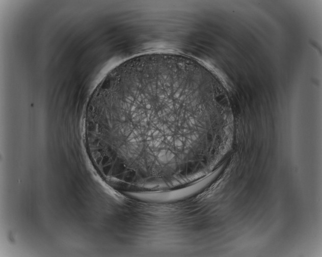 X0000097471383200802291300