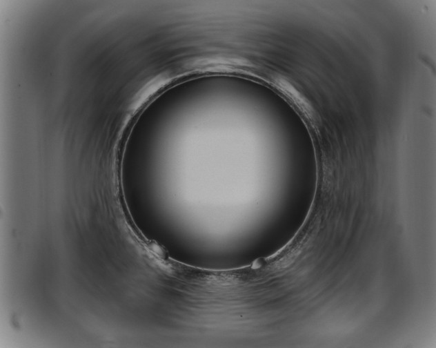 X0000097471384200802291300