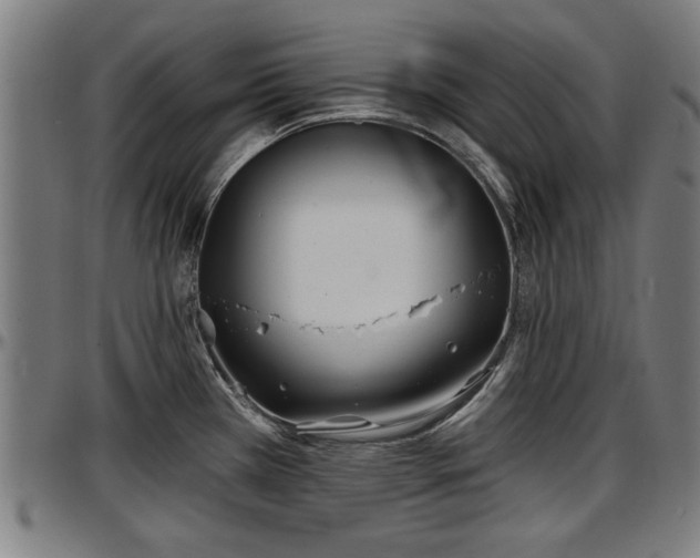 X0000097471385200802291300