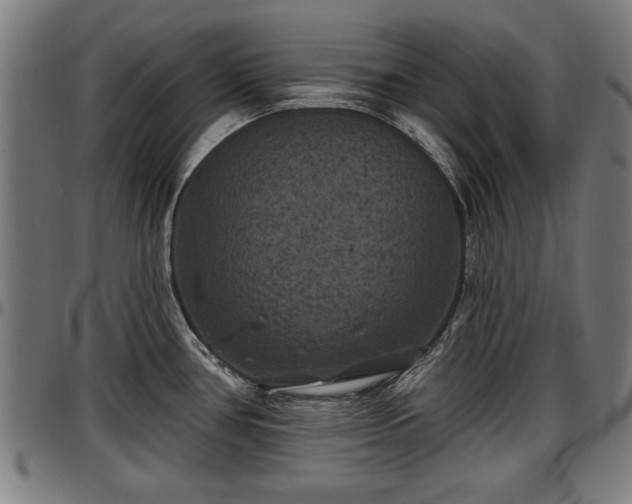X0000097471386200802291300