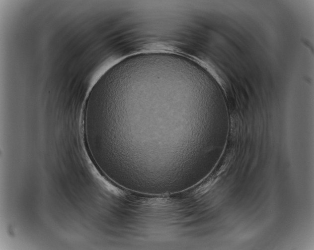 X0000097471387200802291300