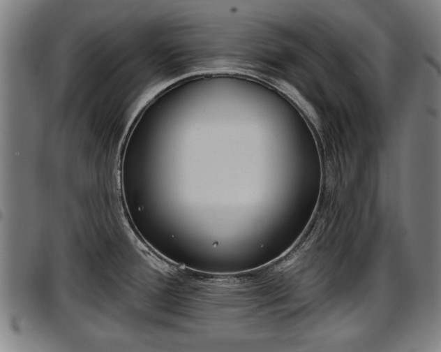 X0000097471388200802291300