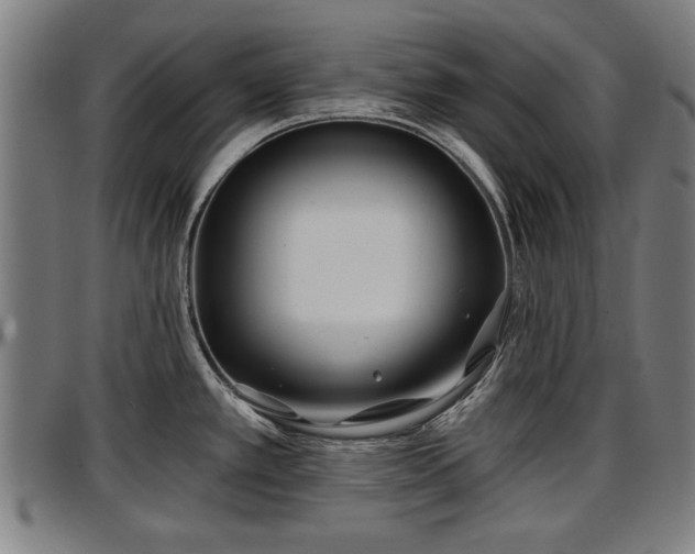 X0000097471389200802291300