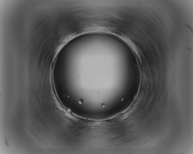 X0000097471390200802291300
