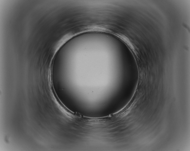 X0000097471391200802291300