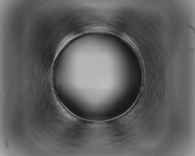 X0000097471392200802291300