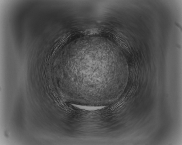 X0000097471393200802291259