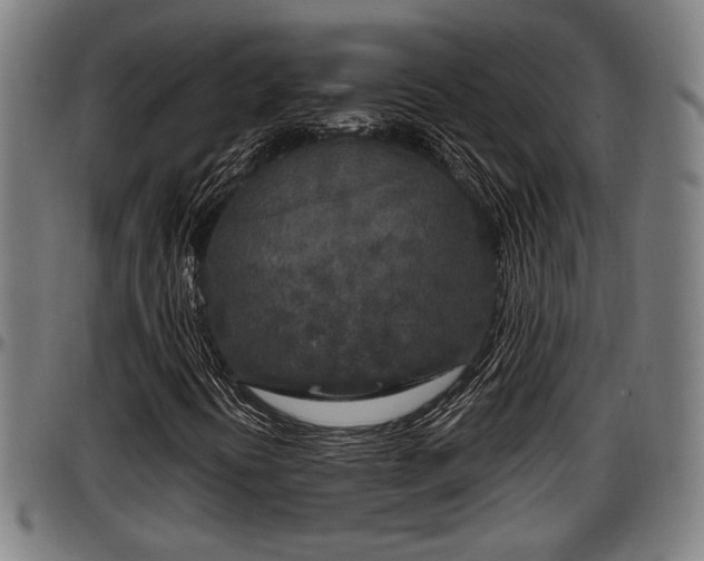 X0000097471394200802291259