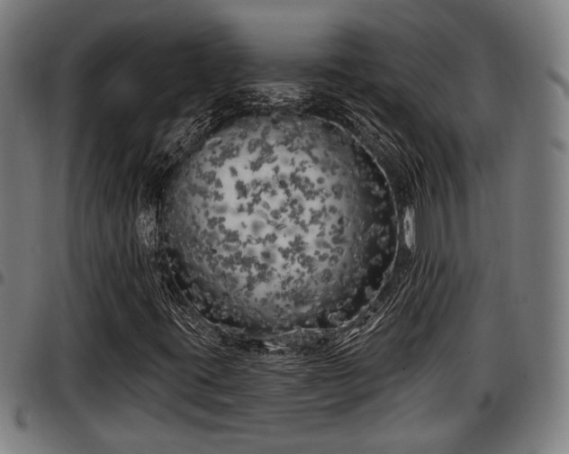 X0000097471395200802291259
