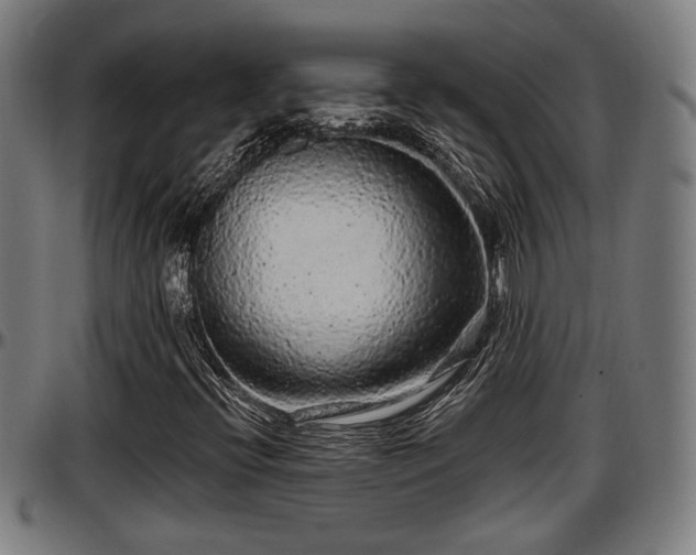 X0000097471396200802291259