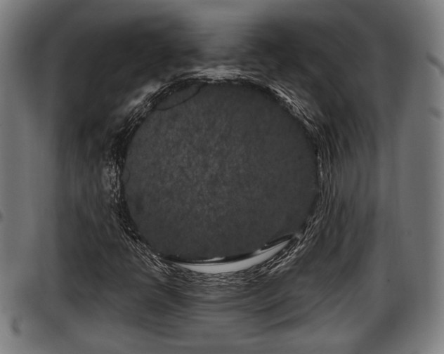 X0000097471398200802291259