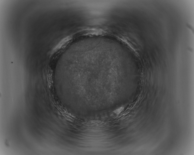 X0000097471399200802291259