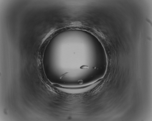 X0000097471400200802291259