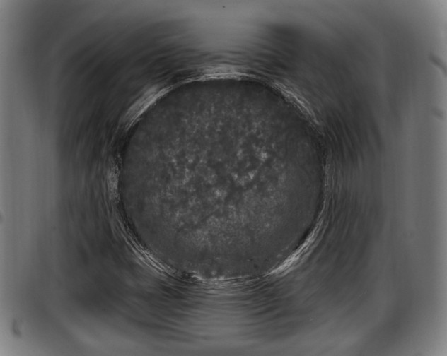 X0000097471401200802291259