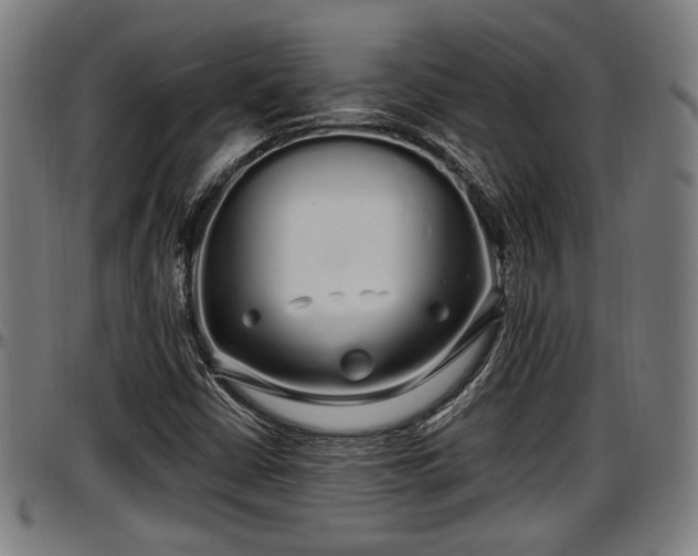 X0000097471402200802291259