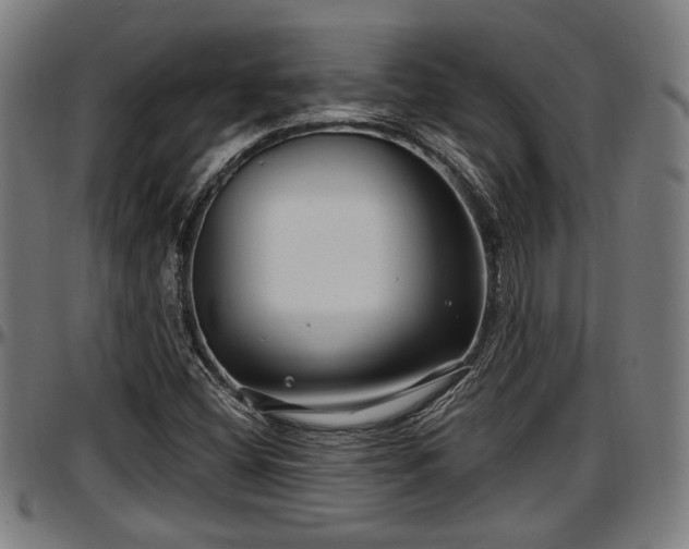 X0000097471404200802291259