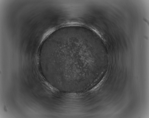 X0000097471405200802291259