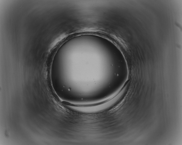 X0000097471406200802291259