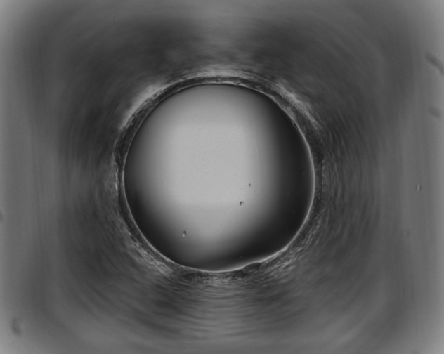 X0000097471408200802291259