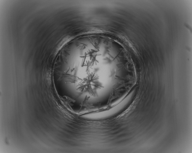 X0000097471409200802291259