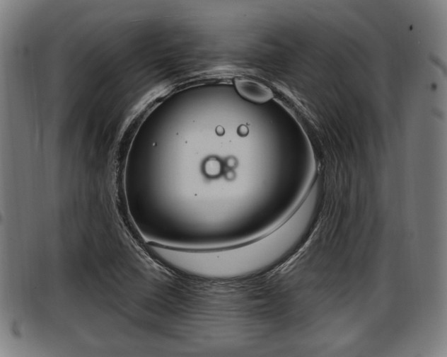 X0000097471410200802291259