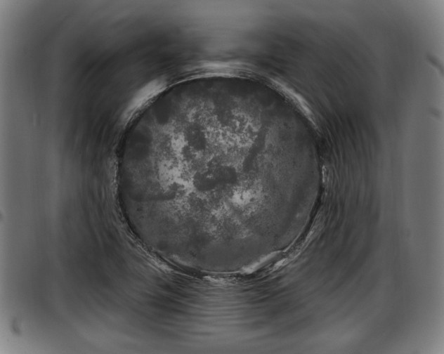 X0000097471411200802291259