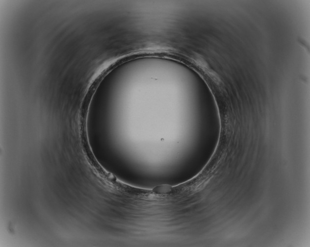 X0000097471412200802291259