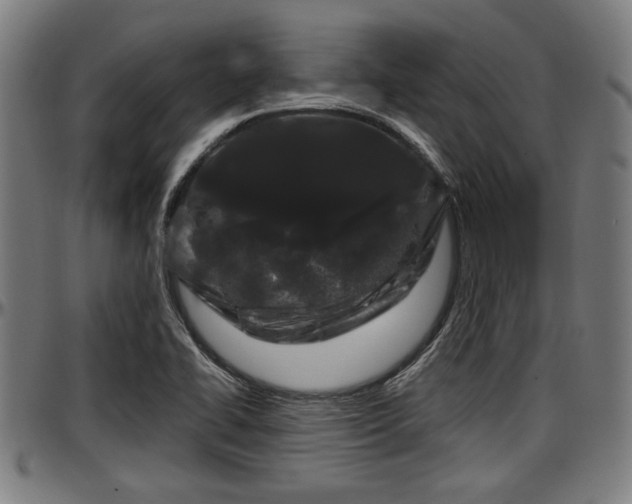 X0000097471414200802291259