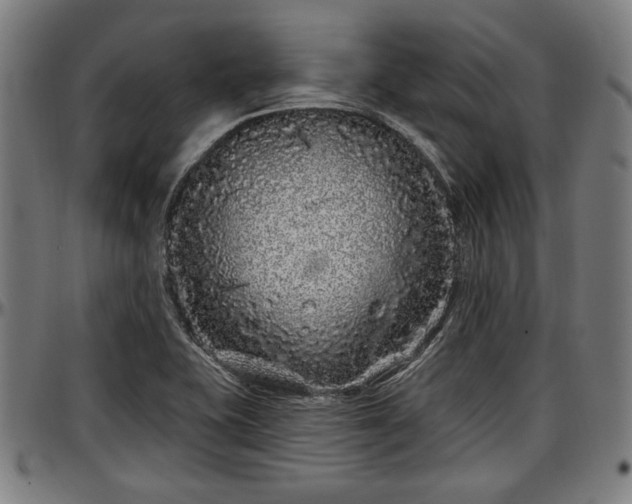 X0000097471415200802291259