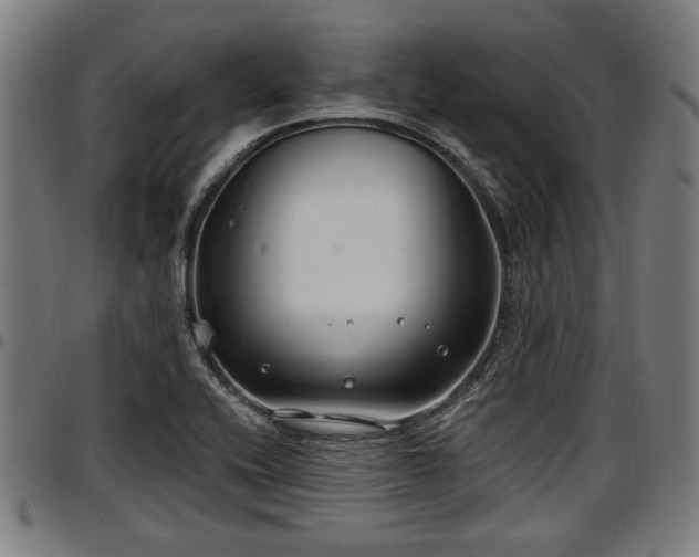X0000097471416200802291259