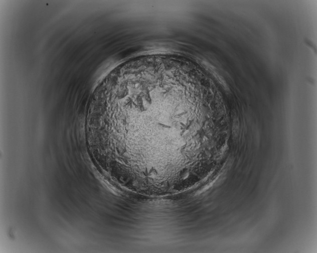 X0000097471417200802291259