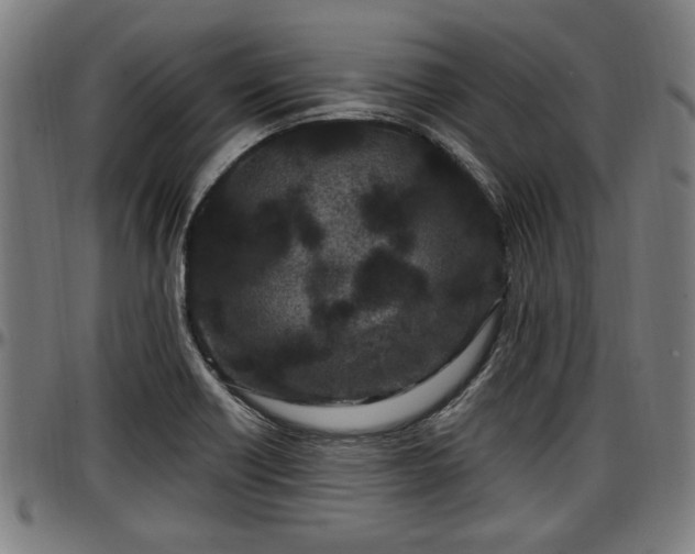 X0000097471418200802291259