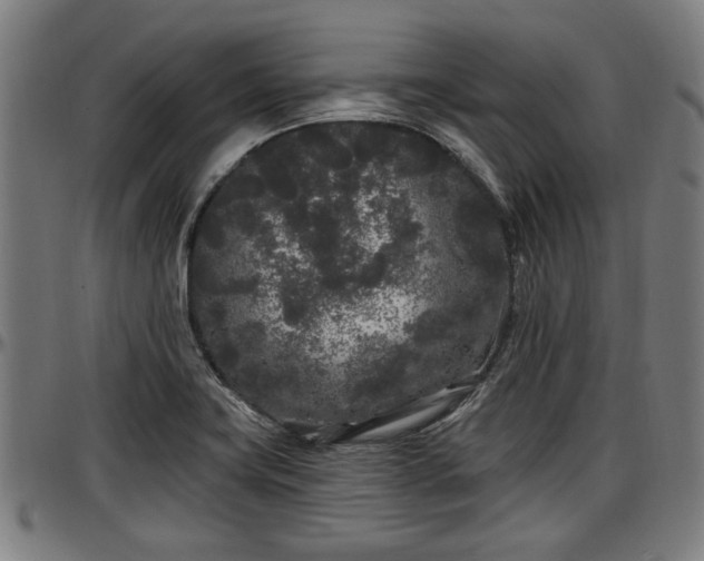X0000097471419200802291259