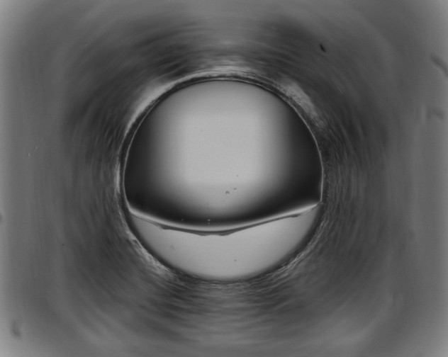 X0000097471420200802291300