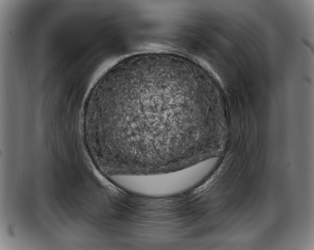 X0000097471421200802291300