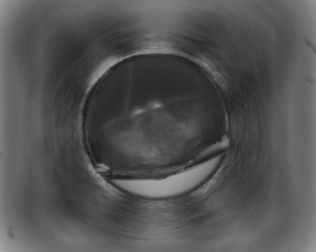 X0000097471422200802291300